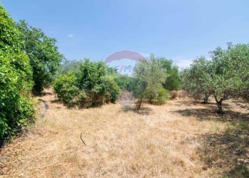 Giardino - Terreno edificabile Via Trigona, San Giovanni la Punta - foto 35