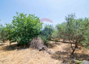 Giardino - Terreno edificabile Via Trigona, San Giovanni la Punta - foto 36