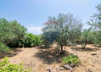 Giardino - Terreno edificabile Via Trigona, San Giovanni la Punta - foto 37