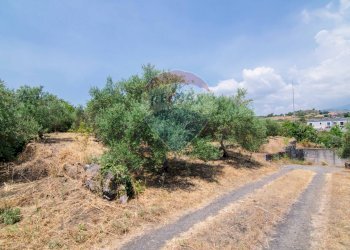 Giardino - Terreno edificabile Via Trigona, San Giovanni la Punta - foto 39