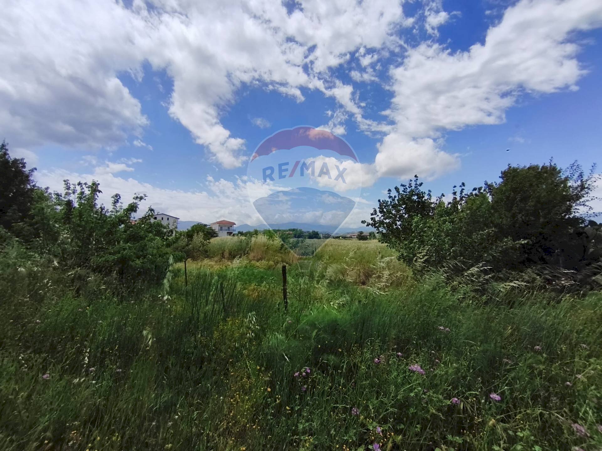 Giardino - Terreno edificabile via grazia deledda, San Marco Argentano - foto 3