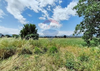 Giardino - Terreno edificabile via grazia deledda, San Marco Argentano - foto 6