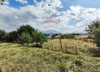 Giardino - Terreno edificabile via grazia deledda, San Marco Argentano - foto 7