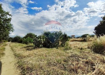 Giardino - Terreno edificabile via grazia deledda, San Marco Argentano - foto 8