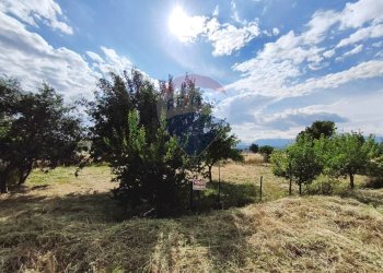 Giardino - Terreno edificabile via grazia deledda, San Marco Argentano - foto 9