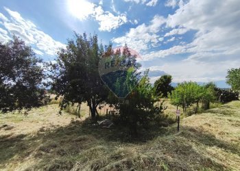 Giardino - Terreno edificabile via grazia deledda, San Marco Argentano - foto 10