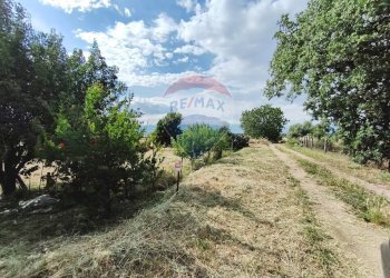 Giardino - Terreno edificabile via grazia deledda, San Marco Argentano - foto 11