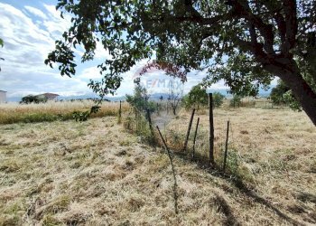 Non correlato - Terreno edificabile via grazia deledda, San Marco Argentano - foto 12