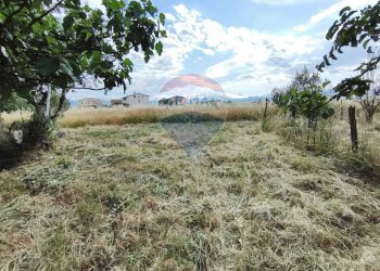 Giardino - Terreno edificabile via grazia deledda, San Marco Argentano - foto 13