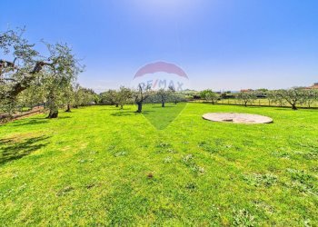 Giardino - Villa VIA DI MONTEFIORE, Formello - foto 50