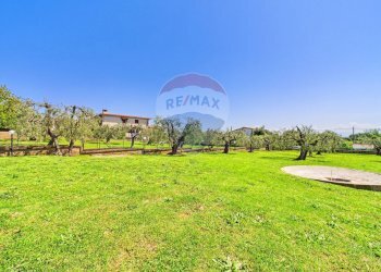 Giardino - Villa VIA DI MONTEFIORE, Formello - foto 53