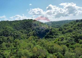 Foto 26 - Villa strada di macchiano
 
35, Campagnano di Roma - photo 26