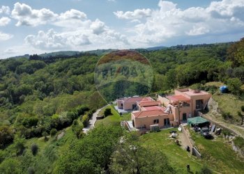 Foto 31 - Villa strada di macchiano
 
35, Campagnano di Roma - photo 31