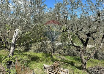 Giardino - Appartamento Via Annunziata
 
25, Scapoli - foto 108