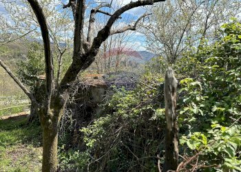 Giardino - Appartamento Via Annunziata
 
25, Scapoli - foto 109