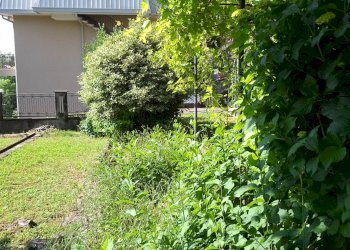 Foto 71 - Villa Via don Luigi Monza
 
38, Ponte Lambro - foto 71