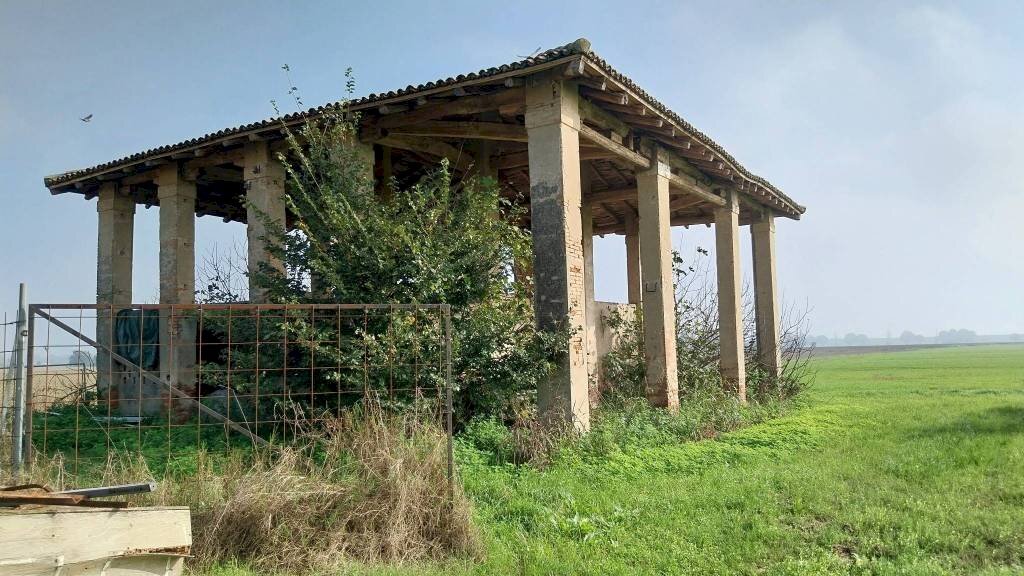 Terreno - Rustic San Giovanni in Persiceto - photo 3