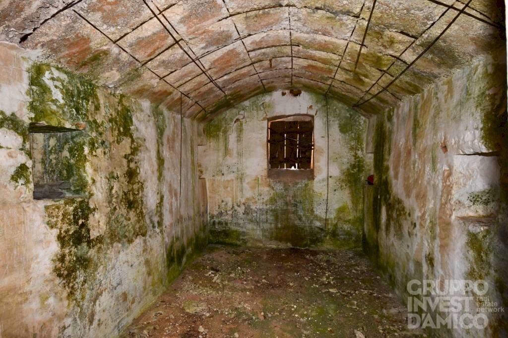 Cantina - Terreno agricolo contrada Restano, Cisternino - foto 2