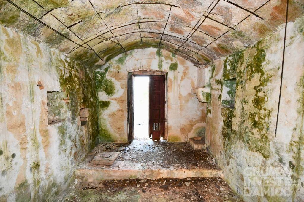 Cantina - Terreno agricolo contrada Restano, Cisternino - foto 3