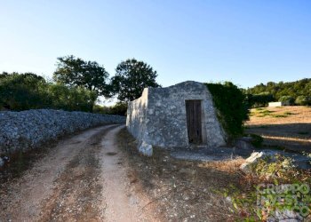 Terreno - Terreno agricolo contrada Restano, Cisternino - foto 1