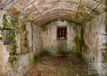 Cantina - Terreno agricolo contrada Restano, Cisternino - foto 2