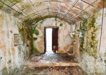 Cantina - Terreno agricolo contrada Restano, Cisternino - foto 3