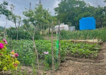 Terreno - Villa strada Villarello, 15, Ceva - foto 21