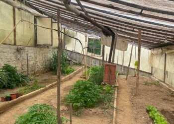 Terreno - Villa strada Villarello, 15, Ceva - foto 22