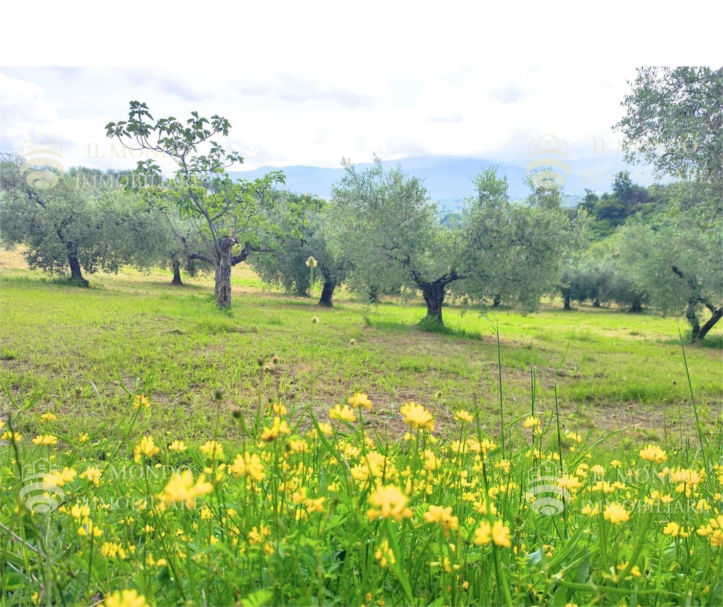 Capannone Strada di Colle Fagiano, Palombara Sabina - foto 1