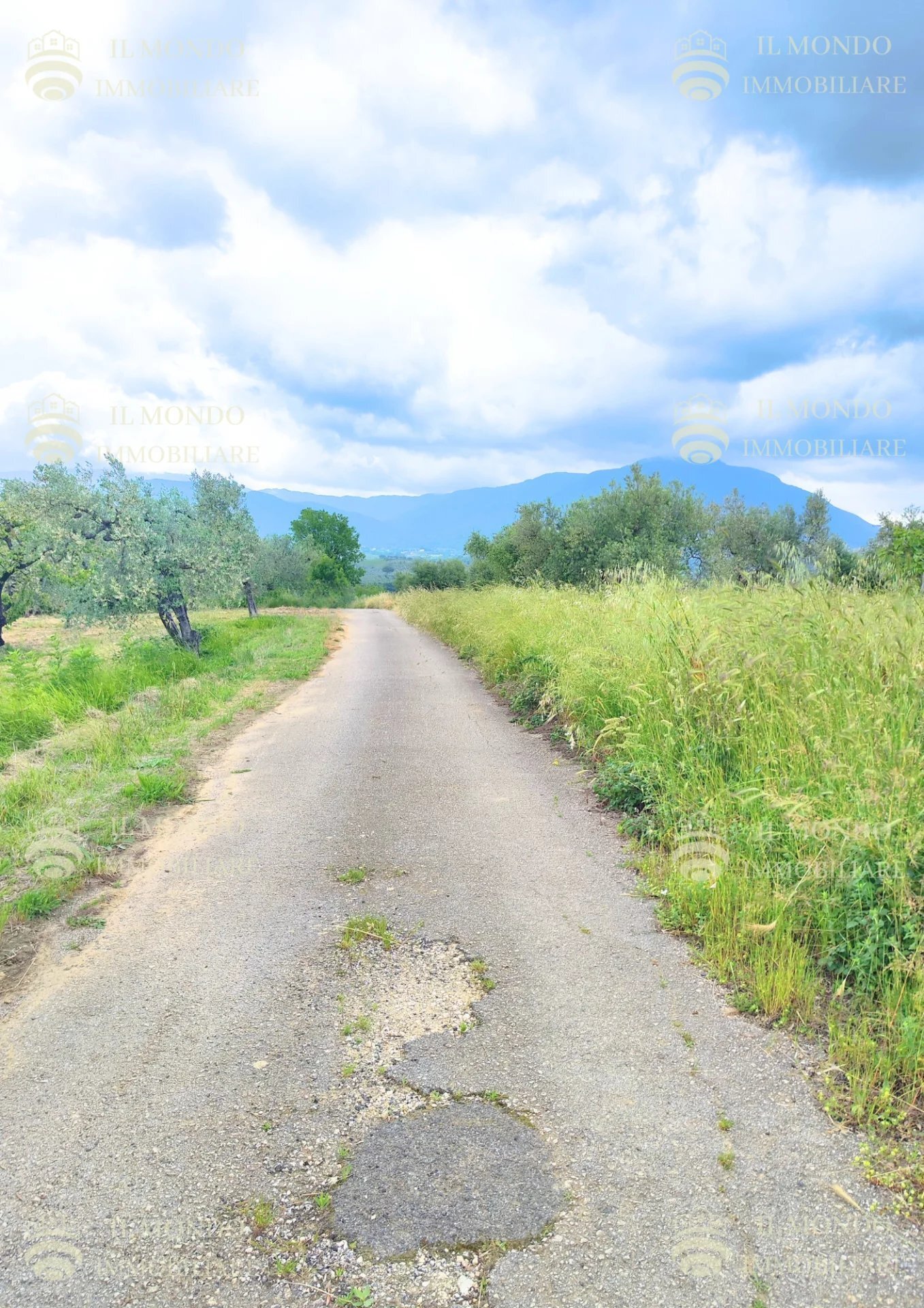 Capannone Strada di Colle Fagiano, Palombara Sabina - foto 3