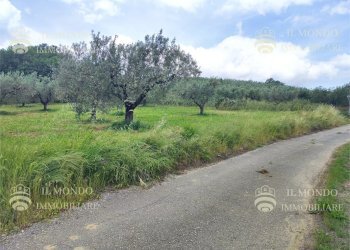 Capannone Strada di Colle Fagiano, Palombara Sabina - foto 2