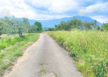 Capannone Strada di Colle Fagiano, Palombara Sabina - foto 3