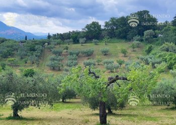Capannone Strada di Colle Fagiano, Palombara Sabina - foto 4