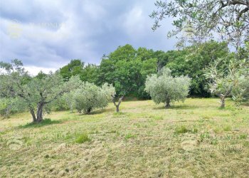 Capannone Strada di Colle Fagiano, Palombara Sabina - foto 5