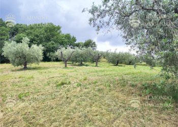 Capannone Strada di Colle Fagiano, Palombara Sabina - foto 7