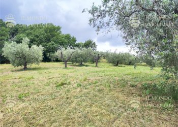 Capannone Strada di Colle Fagiano, Palombara Sabina - foto 11