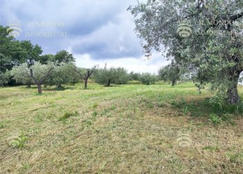 Capannone Strada di Colle Fagiano, Palombara Sabina - foto 12