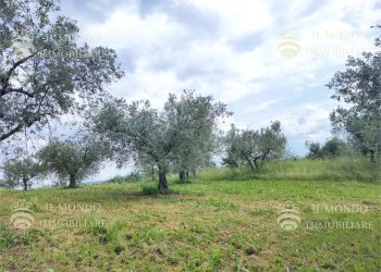 Capannone Strada di Colle Fagiano, Palombara Sabina - foto 13