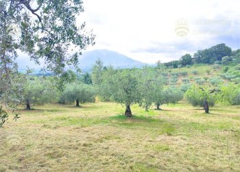 Capannone Strada di Colle Fagiano, Palombara Sabina - foto 14