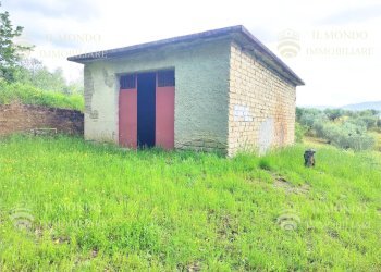 Capannone Strada di Colle Fagiano, Palombara Sabina - foto 15