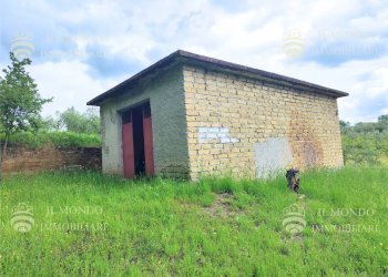 Capannone Strada di Colle Fagiano, Palombara Sabina - foto 16