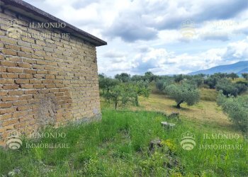 Capannone Strada di Colle Fagiano, Palombara Sabina - foto 19