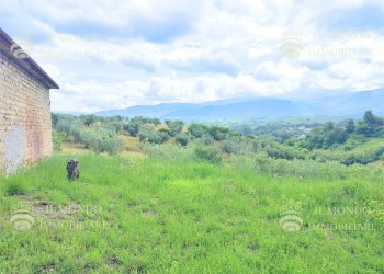 Capannone Strada di Colle Fagiano, Palombara Sabina - foto 20