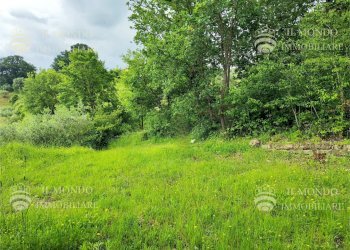 Capannone Strada di Colle Fagiano, Palombara Sabina - foto 21