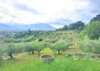 Capannone Strada di Colle Fagiano, Palombara Sabina - foto 24