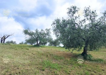 Capannone Strada di Colle Fagiano, Palombara Sabina - foto 26