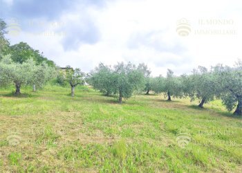 Capannone Strada di Colle Fagiano, Palombara Sabina - foto 28