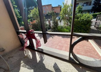 Porzione di casa Casalfiumanese - foto 20