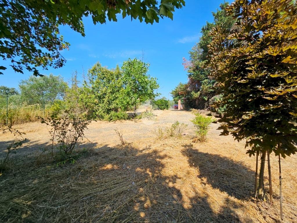 Villa Regione Canetta, Castelnuovo Belbo - foto 3