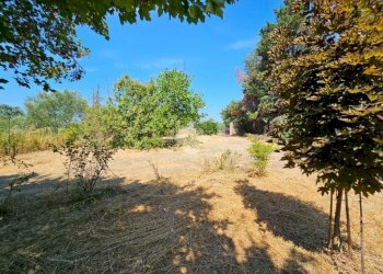 Villa Regione Canetta, Castelnuovo Belbo - foto 3